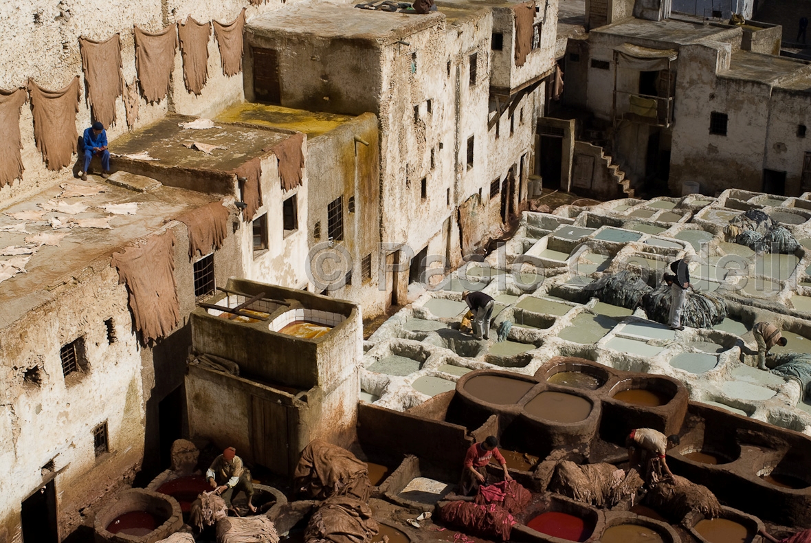 Leather Tanneries, Fes, Morocco
 (cod:Morocco 64)